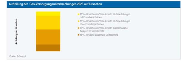 Grafik 4: Gründe für ungeplante Versorgungsunterbrechungen Gas; Quelle: E-Control